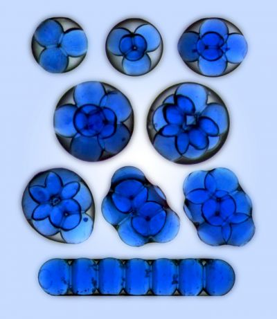 Mezoatomy (struktury uformowane przez mikrokrople wody uwięzione w kropli oleju) wytworzone w Instytucie Chemii Fizycznej Polskiej Akademii Nauk w Warszawie. (Źródło IChF PAN)