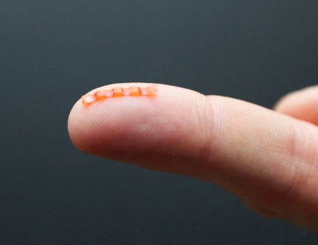 Zdjęcie robota-gąsienicy na czubku palca